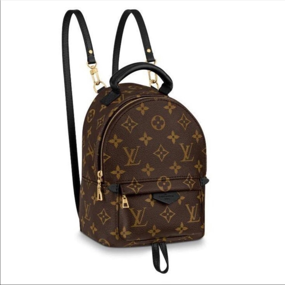 Louis Vuitton Palm Springs Mini